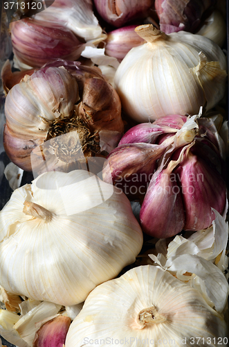 Image of  raw pink garlic 