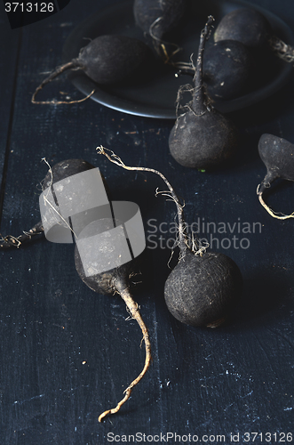 Image of Black winter radish