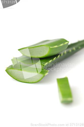 Image of Aloe vera leaves 