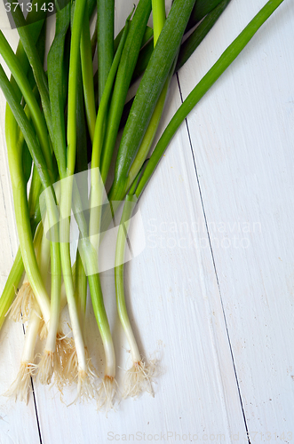 Image of  bunch of green onions 