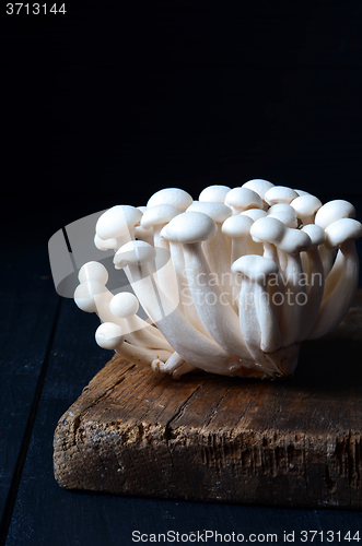 Image of Shimeji mushrooms on wood