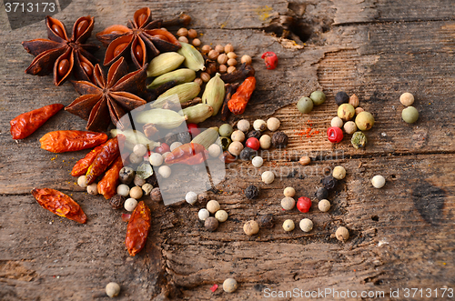 Image of Herbs and spices selection