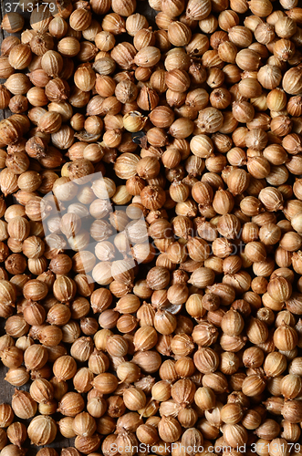 Image of  Dried coriander seeds