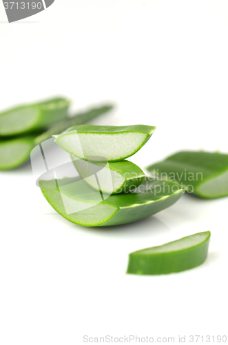 Image of Aloe vera leaves 