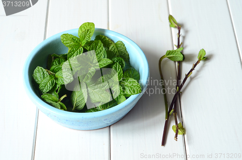 Image of Fresh peppermint leaves