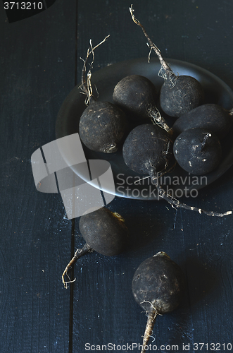 Image of Black winter radish