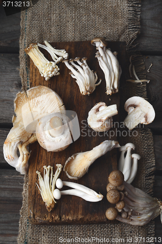 Image of Variety of Mushrooms