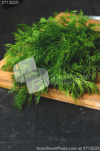 Image of bunch of fresh  dill 