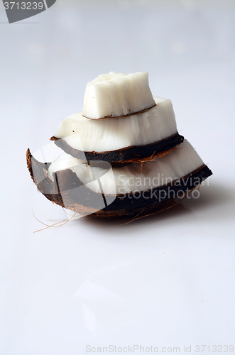 Image of close up of coconut