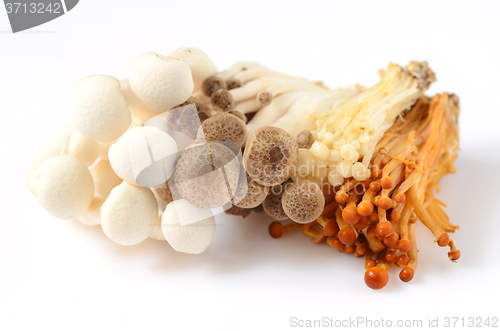 Image of Shimeji mushrooms on white