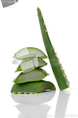 Image of Aloe vera leaves 