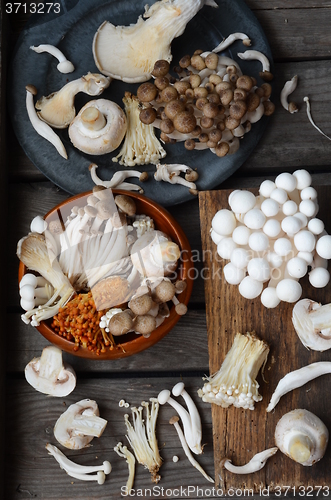 Image of Variety of Mushrooms