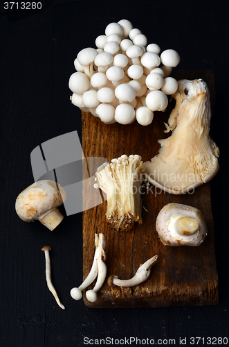 Image of Variety of Mushrooms