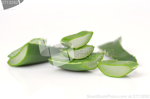 Image of Aloe vera leaves 