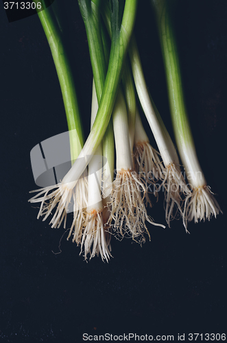 Image of  bunch of green onions 