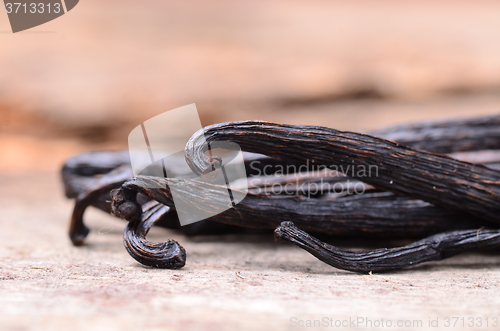 Image of vanilla pods 