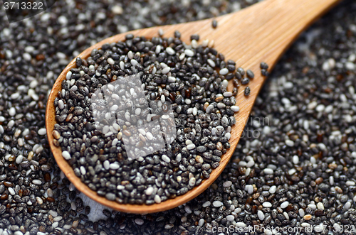 Image of raw organic chia seeds