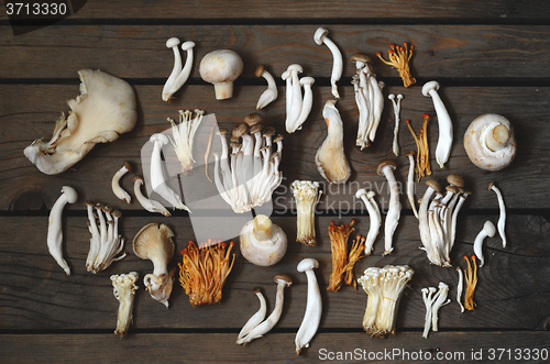Image of Variety of Mushrooms