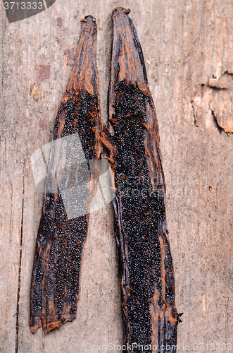 Image of vanilla pods 