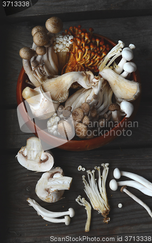 Image of Variety of Mushrooms