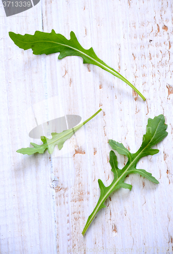 Image of Fresh rucola