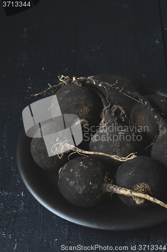 Image of Black winter radish