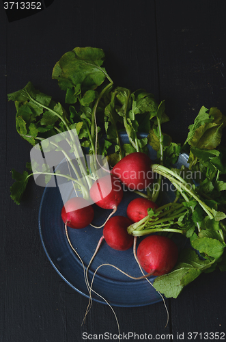 Image of  fresh radishes on wooden table