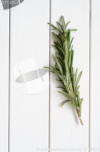 Image of Rosemary on wooden background