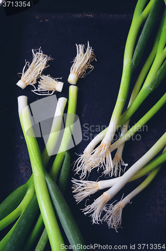 Image of  bunch of green onions 