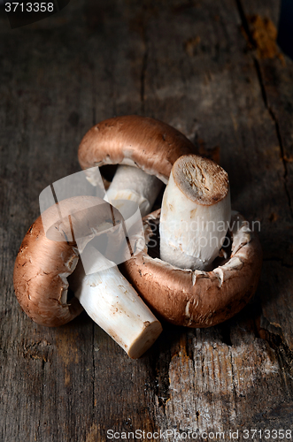 Image of Brown champignon mushrooms