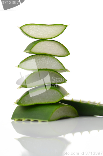 Image of Aloe vera leaves 