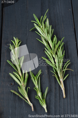 Image of Rosemary on wooden background