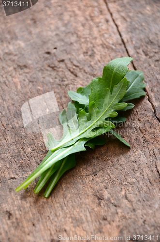 Image of Fresh rucola