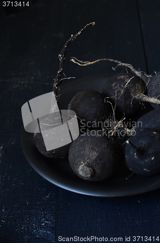 Image of Black winter radish