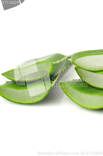 Image of Aloe vera leaves 