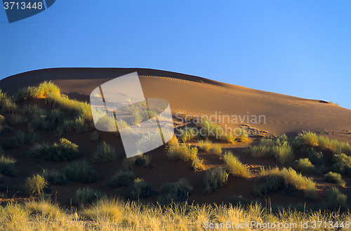 Image of Namibia