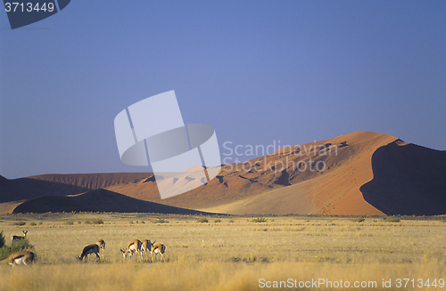 Image of Namibia