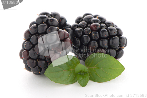 Image of Blackberries with leaves