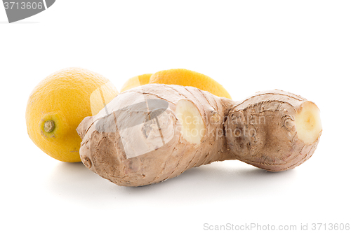 Image of Ginger root on white