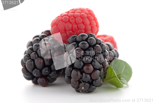 Image of Raspberry with blackberry 