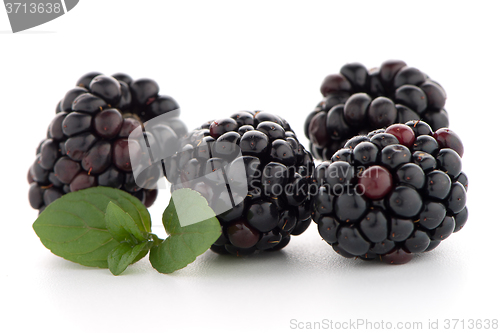 Image of Blackberries with leaves