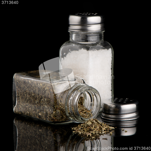Image of  Salt and oregano shakers