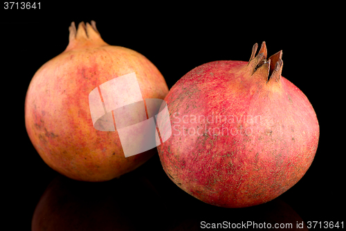 Image of Ripe pomegranate fruit