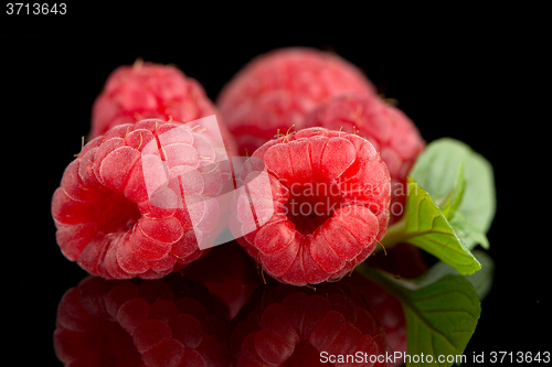 Image of Raspberries with leaves