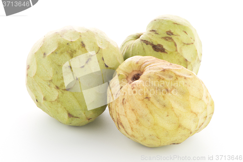 Image of Fresh Custard Apple