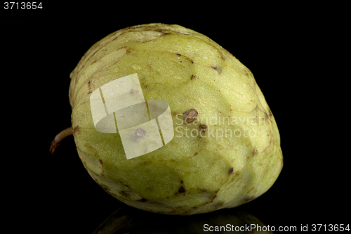 Image of Fresh Custard Apple
