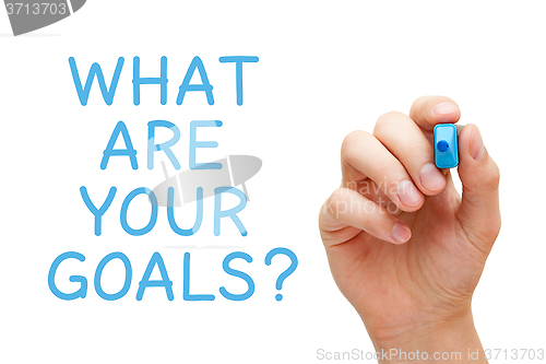 Image of What Are Your Goals