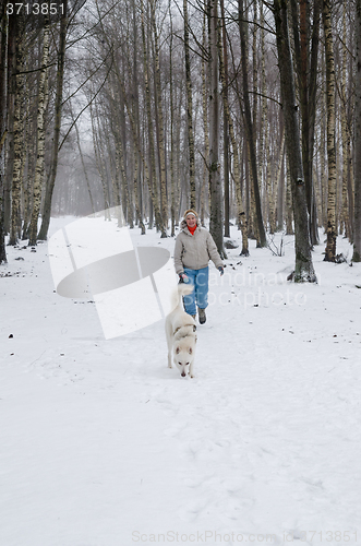 Image of Woman with dog walking down the avenue in the winter.