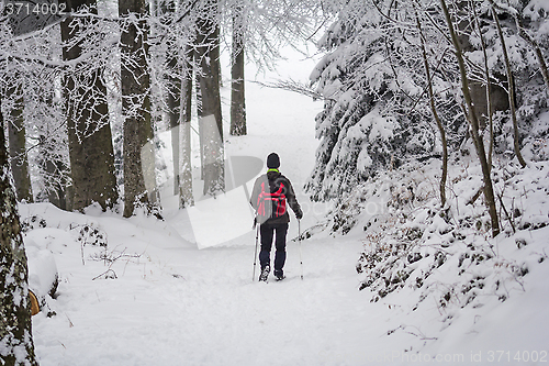 Image of Mountaineer in the snow forest