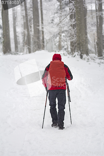 Image of Mountaineer in the snow forest